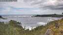 ./images/calvert/foggy-cove/20260525/foggy-cove20260525_141001M.jpg