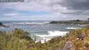 ./images/calvert/foggy-cove/20260525/foggy-cove20260525_142001M.jpg