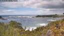 ./images/calvert/foggy-cove/20260525/foggy-cove20260525_142501M.jpg