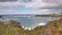 ./images/calvert/foggy-cove/20260525/foggy-cove20260525_143001M.jpg