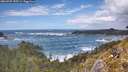 ./images/calvert/foggy-cove/20260525/foggy-cove20260525_145501M.jpg