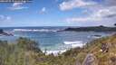 ./images/calvert/foggy-cove/20260525/foggy-cove20260525_151002M.jpg