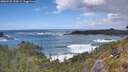./images/calvert/foggy-cove/20260525/foggy-cove20260525_152001M.jpg