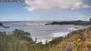 ./images/calvert/foggy-cove/20260525/foggy-cove20260525_155501M.jpg