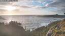 ./images/calvert/foggy-cove/20260525/foggy-cove20260525_204001M.jpg