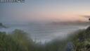 ./images/calvert/foggy-cove/20260526/foggy-cove20260526_050501M.jpg