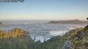 ./images/calvert/foggy-cove/20260526/foggy-cove20260526_061501M.jpg