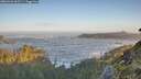 ./images/calvert/foggy-cove/20260526/foggy-cove20260526_062501M.jpg