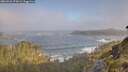 ./images/calvert/foggy-cove/20260526/foggy-cove20260526_072001M.jpg