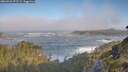 ./images/calvert/foggy-cove/20260526/foggy-cove20260526_072501M.jpg