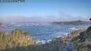 ./images/calvert/foggy-cove/20260526/foggy-cove20260526_073501M.jpg