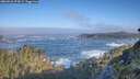 ./images/calvert/foggy-cove/20260526/foggy-cove20260526_074501M.jpg