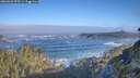./images/calvert/foggy-cove/20260526/foggy-cove20260526_075501M.jpg