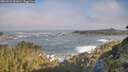./images/calvert/foggy-cove/20260526/foggy-cove20260526_081001M.jpg