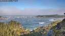 ./images/calvert/foggy-cove/20260526/foggy-cove20260526_082001M.jpg