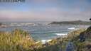 ./images/calvert/foggy-cove/20260526/foggy-cove20260526_083001M.jpg