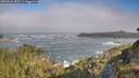 ./images/calvert/foggy-cove/20260526/foggy-cove20260526_083501M.jpg