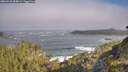 ./images/calvert/foggy-cove/20260526/foggy-cove20260526_084001M.jpg