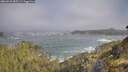./images/calvert/foggy-cove/20260526/foggy-cove20260526_085501M.jpg