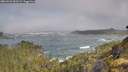 ./images/calvert/foggy-cove/20260526/foggy-cove20260526_090502M.jpg