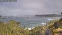 ./images/calvert/foggy-cove/20260526/foggy-cove20260526_091001M.jpg