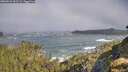 ./images/calvert/foggy-cove/20260526/foggy-cove20260526_091501M.jpg