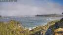 ./images/calvert/foggy-cove/20260526/foggy-cove20260526_092001M.jpg