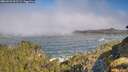 ./images/calvert/foggy-cove/20260526/foggy-cove20260526_092502M.jpg