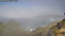 ./images/calvert/foggy-cove/20260526/foggy-cove20260526_093001M.jpg