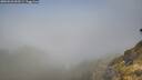 ./images/calvert/foggy-cove/20260526/foggy-cove20260526_093501M.jpg