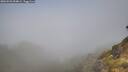 ./images/calvert/foggy-cove/20260526/foggy-cove20260526_094001M.jpg