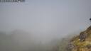 ./images/calvert/foggy-cove/20260526/foggy-cove20260526_094501M.jpg