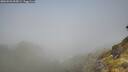 ./images/calvert/foggy-cove/20260526/foggy-cove20260526_095001M.jpg