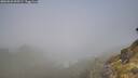 ./images/calvert/foggy-cove/20260526/foggy-cove20260526_095501M.jpg