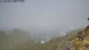 ./images/calvert/foggy-cove/20260526/foggy-cove20260526_100001M.jpg