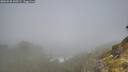 ./images/calvert/foggy-cove/20260526/foggy-cove20260526_100501M.jpg