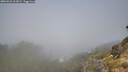 ./images/calvert/foggy-cove/20260526/foggy-cove20260526_101002M.jpg