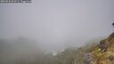 ./images/calvert/foggy-cove/20260526/foggy-cove20260526_101501M.jpg