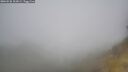 ./images/calvert/foggy-cove/20260526/foggy-cove20260526_102001M.jpg