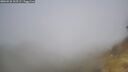 ./images/calvert/foggy-cove/20260526/foggy-cove20260526_102501M.jpg