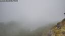 ./images/calvert/foggy-cove/20260526/foggy-cove20260526_103501M.jpg