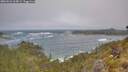 ./images/calvert/foggy-cove/20260526/foggy-cove20260526_105001M.jpg