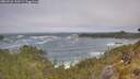 ./images/calvert/foggy-cove/20260526/foggy-cove20260526_110501M.jpg