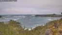 ./images/calvert/foggy-cove/20260526/foggy-cove20260526_111001M.jpg