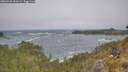 ./images/calvert/foggy-cove/20260526/foggy-cove20260526_111501M.jpg