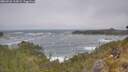 ./images/calvert/foggy-cove/20260526/foggy-cove20260526_112002M.jpg