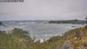 ./images/calvert/foggy-cove/20260526/foggy-cove20260526_112501M.jpg