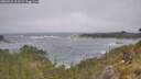 ./images/calvert/foggy-cove/20260526/foggy-cove20260526_113501M.jpg