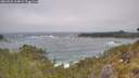 ./images/calvert/foggy-cove/20260526/foggy-cove20260526_114001M.jpg
