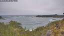 ./images/calvert/foggy-cove/20260526/foggy-cove20260526_114501M.jpg